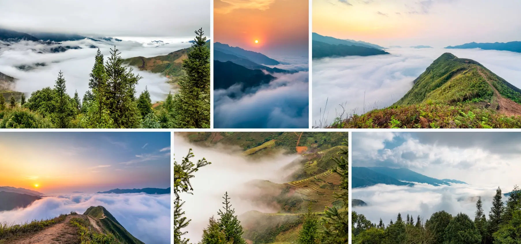 ta xua things to do and motorbike tour to the ocean of clouds