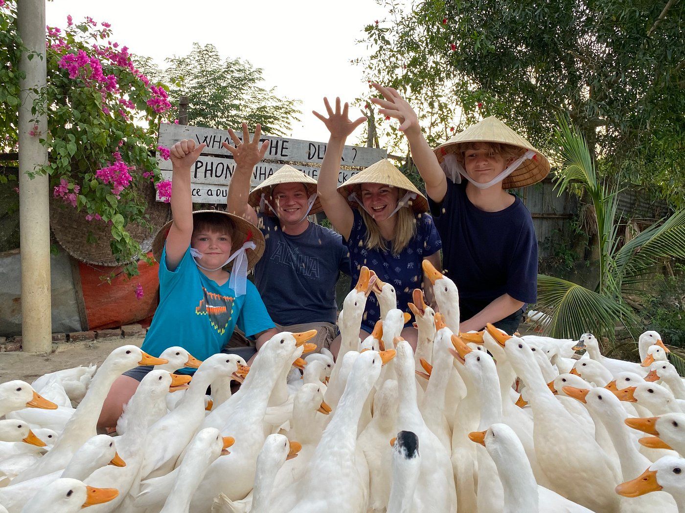 The Duck Stop