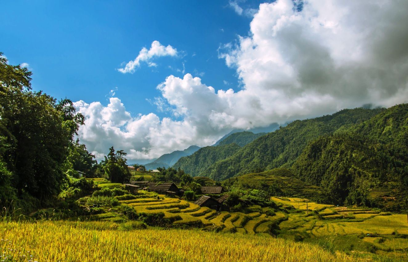 things to do in sin chai village