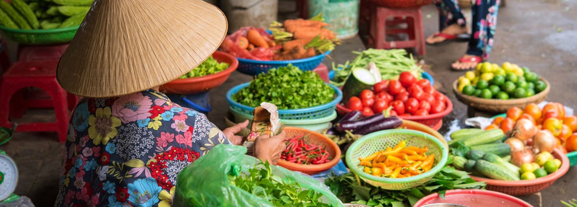 Indochina tour packages - tour to Southeast Asia - street vendor selling vegetables in Vietnam