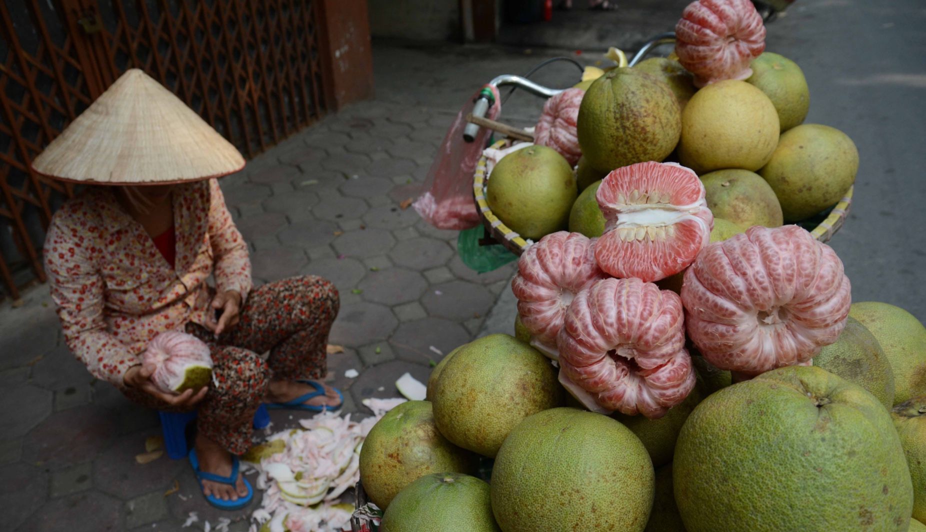 pomelo, Vietnamese name: Bưởi