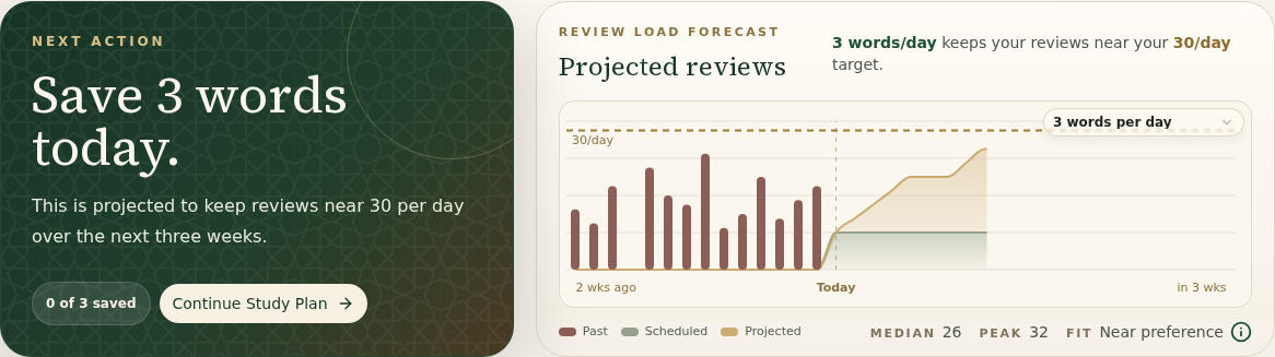 Dashboard guidance showing the next action and today's word pace.