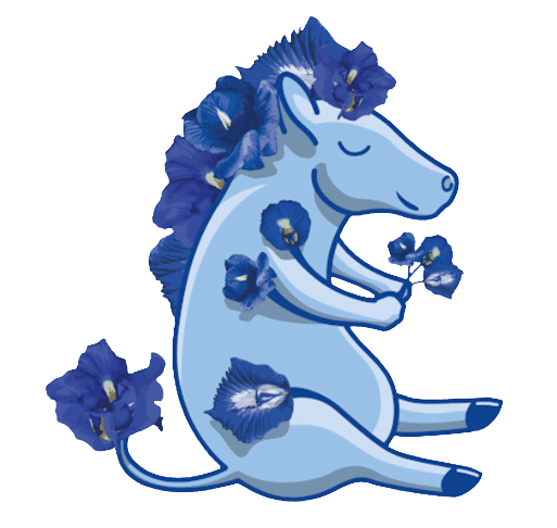 Logo Zebra Pois Bleu