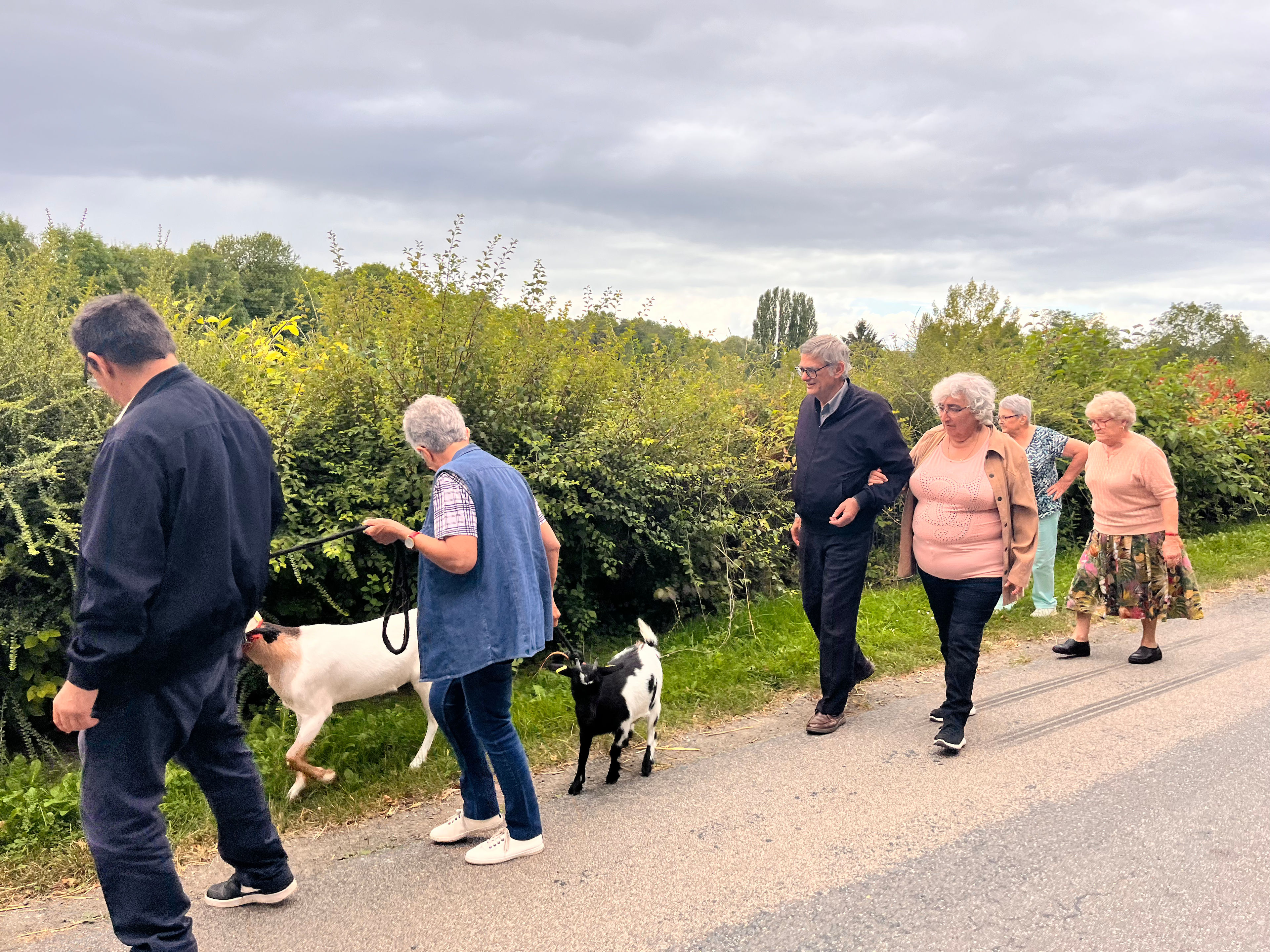 Le Projet Zebra Pois Bleu