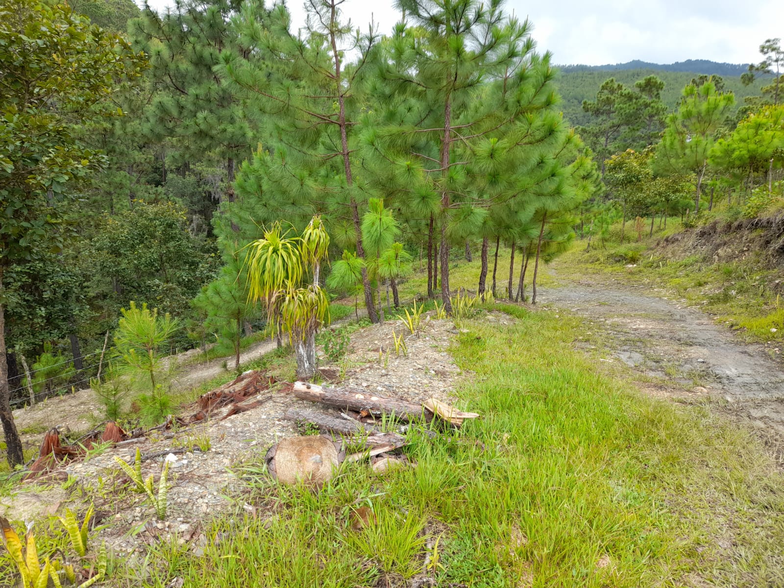 San Jerónimo, Baja Verapaz