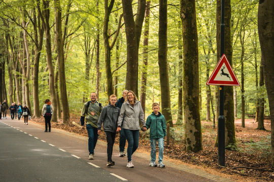 Een groep volwassenen en kinderen wandelt samen over een verharde weg door een groen bos.