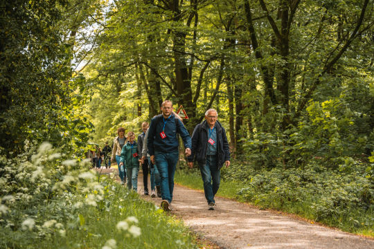 Wandelaars volgen samen een pad tussen groene bomen.