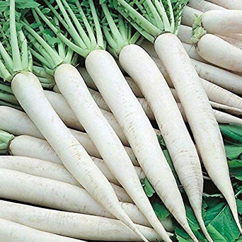 Mooli 1 kg