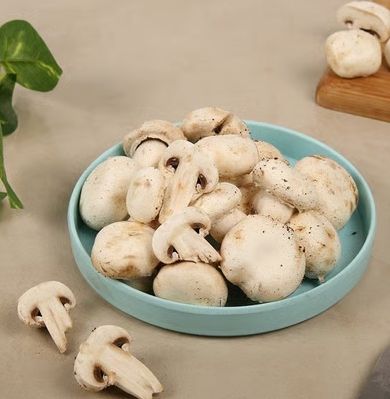Button Mushroom