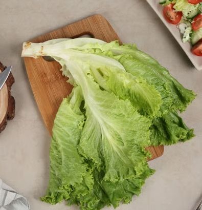 Green Lettuce