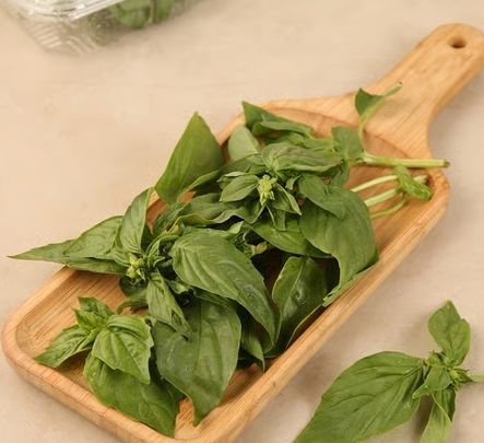 Italian Basil Leaves