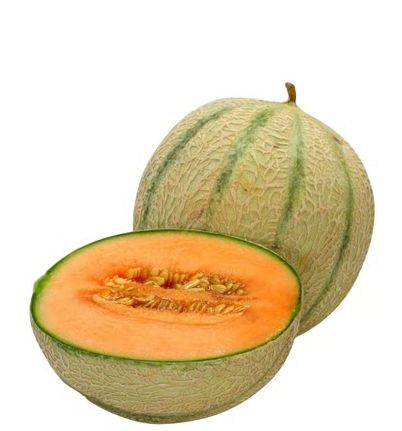 Striped Muskmelon