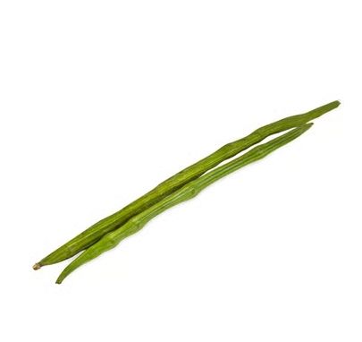 Drumstick (Sahjan)