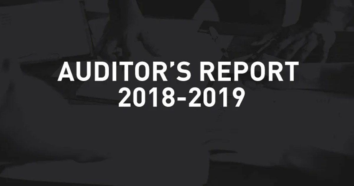 Auditor's Report 2018-19