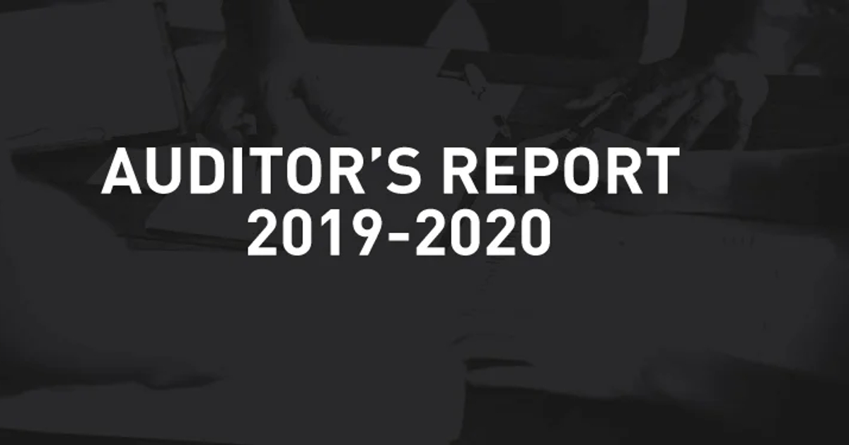 Auditor's Report 2019-20