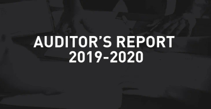 Auditor's Report 2019-20