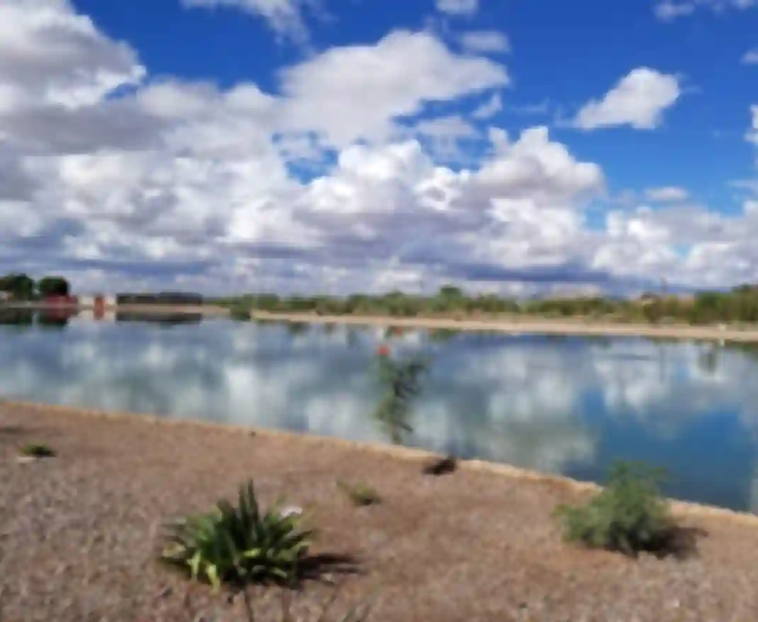 Mansel Carter Oasis Park, Queen Creek, AZ