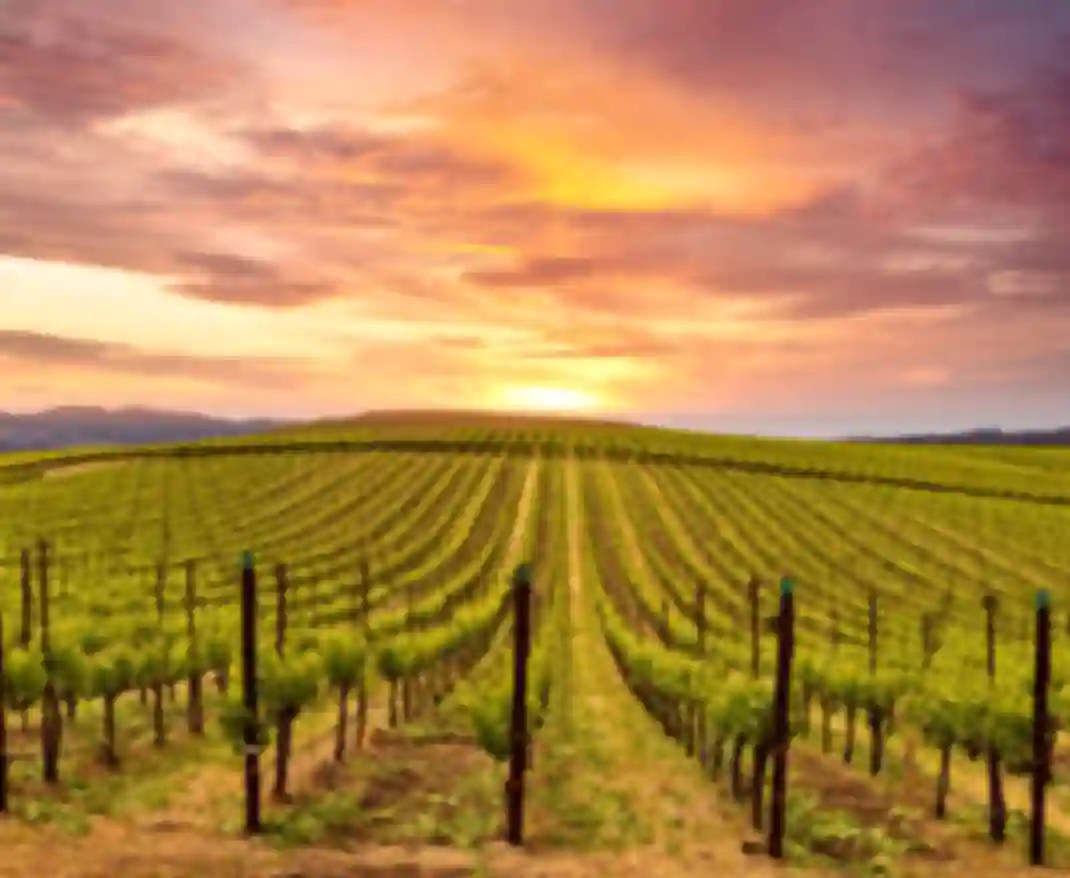 Beautiful Sunset Sky in Napa Valley Wine Country on Spring