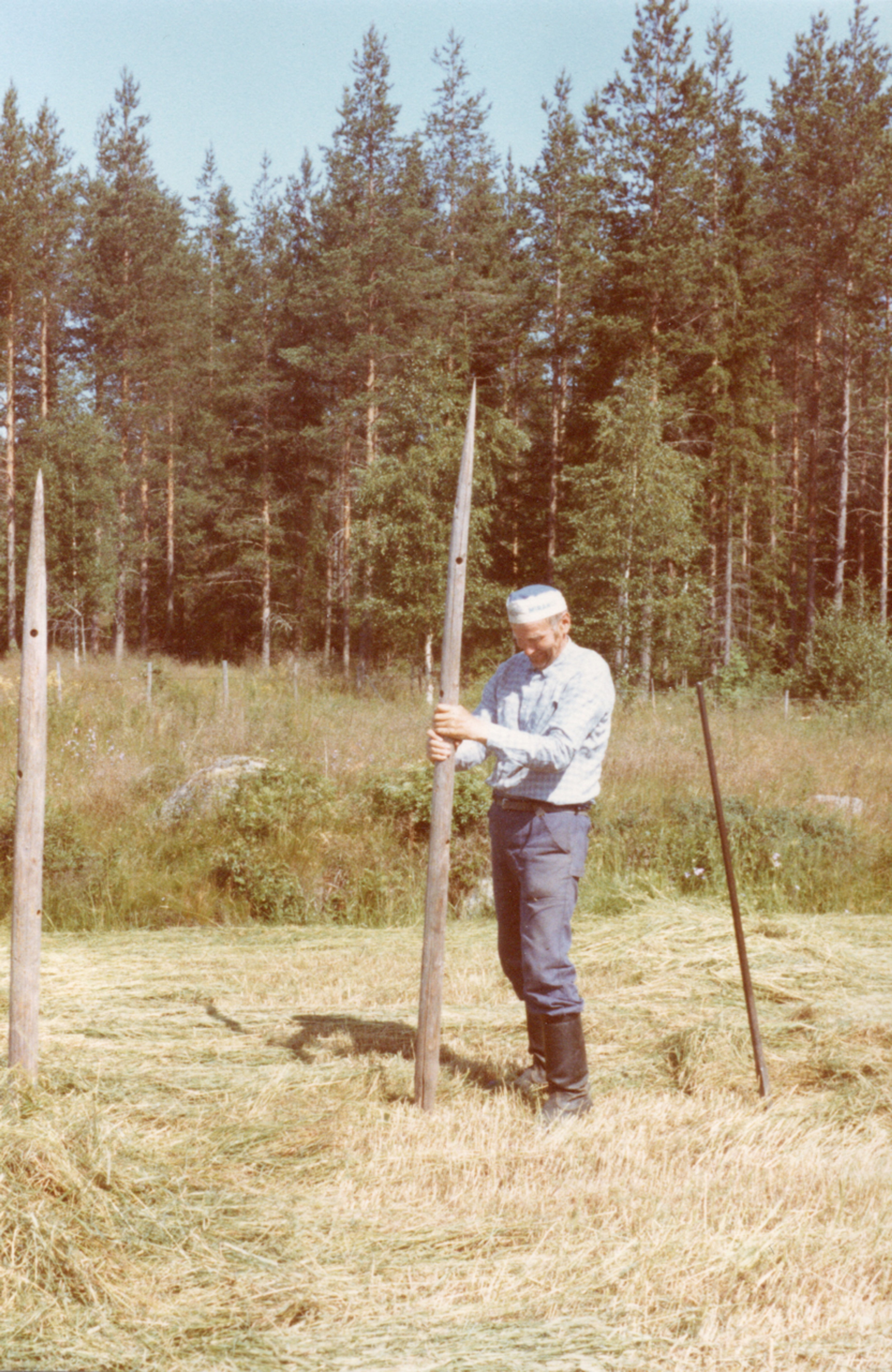 Vanha isäntä Martti heinäseipään kanssa