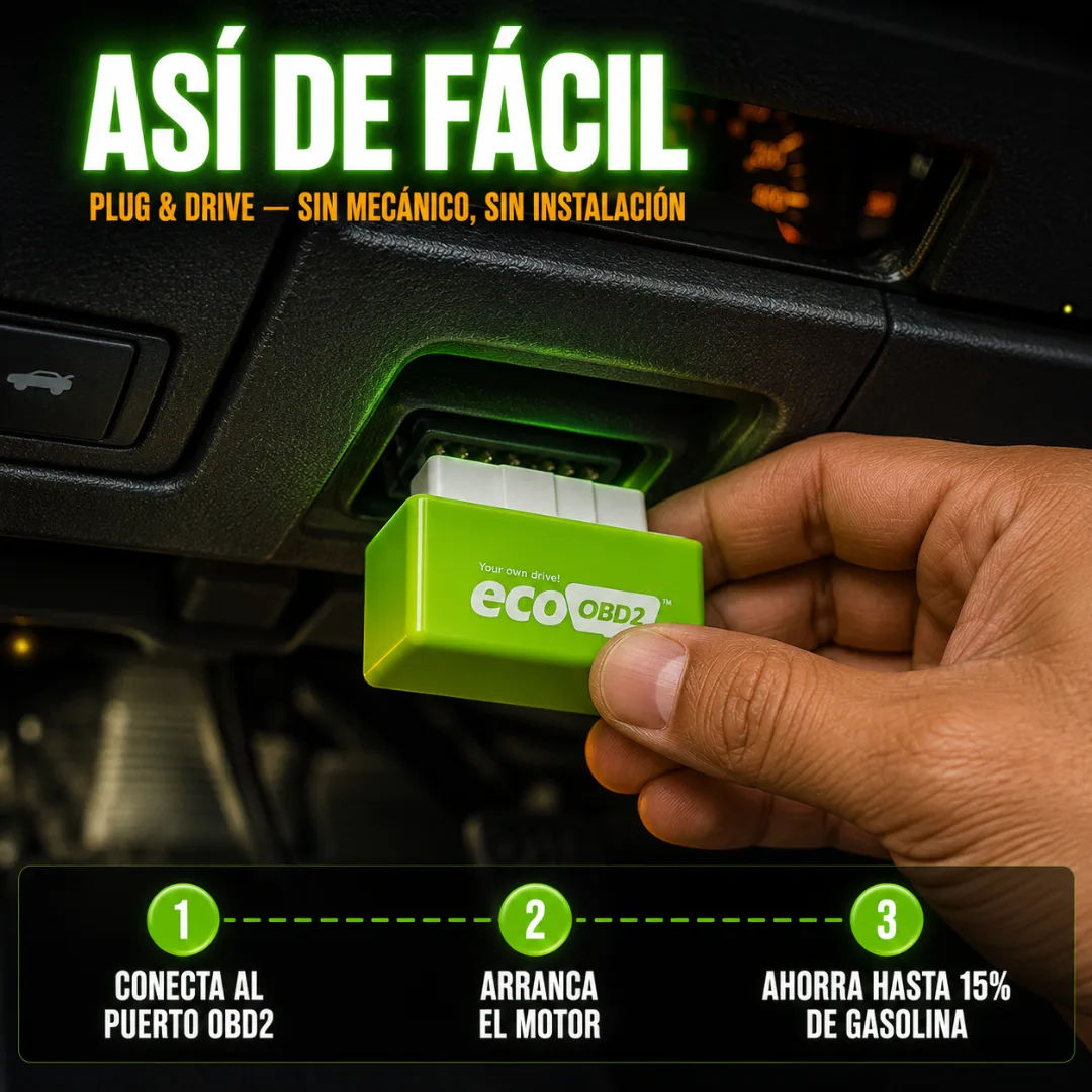 Proceso / Cómo Funciona
