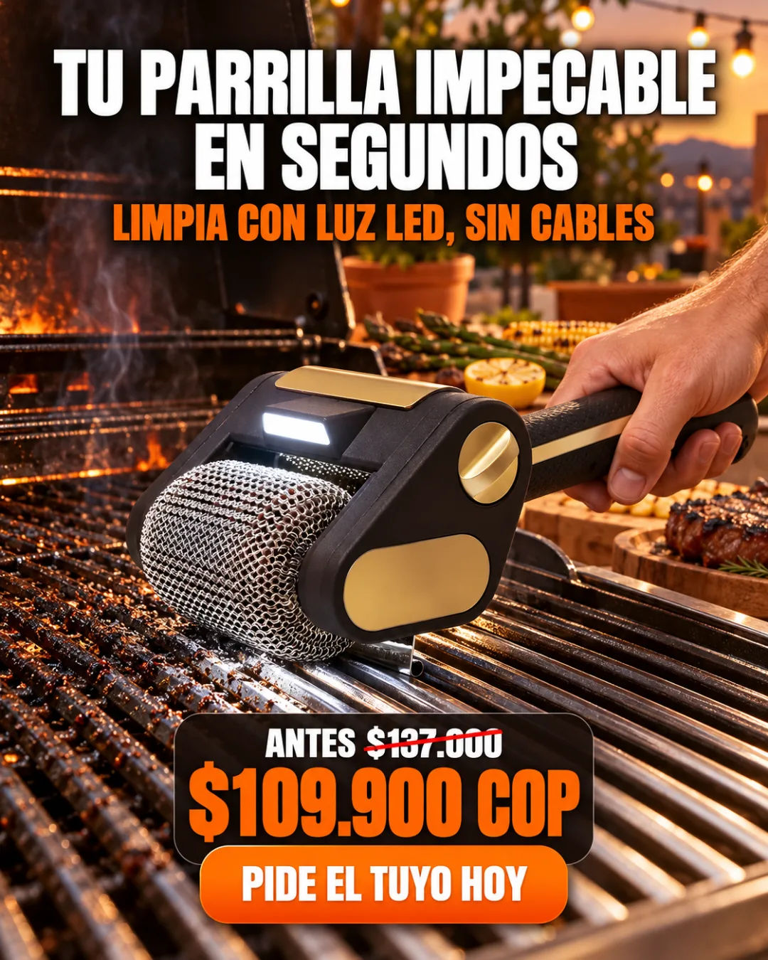 Cepillo Para Parrilla De Acero