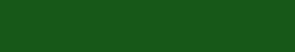 Picture of Forest Green Quilling Paper (3/8")