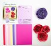 Blooming Beauties Kit