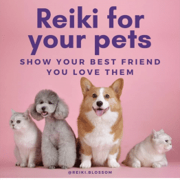 Pet Reiki