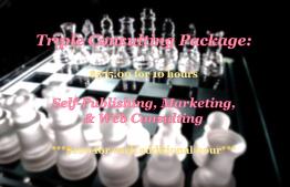 Consulting package III