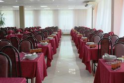 Питание в Санатории Алеся - большой обеденный зал