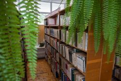 Досуг в Санатории Алеся - стелажи с книгами на белорусском и русском языках