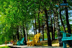 Досуг в Санатории Алеся - места для отдыха на берегу озера