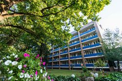 Территория Санатория Буг летом - жилой корпус Территория Санатория Буг летом - жилой корпус