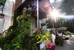 Территория Санатория Буг летом - цветочное буйство Территория Санатория Буг летом - цветочное буйство