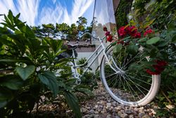 Территория Санатория Буг летом - летние мотивы Территория Санатория Буг летом - летние мотивы