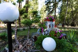 Территория Санатория Буг летом - стилизованная клумба Территория Санатория Буг летом - стилизованная клумба