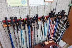 Отдых в Санатории Берестье - палки для скандинавской ходьбы