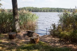 Экологическая тропа «Межозёрная»