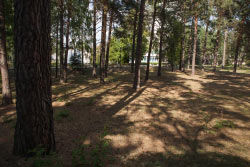 Экологическая тропа «Межозёрная»