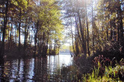 Экологическая тропа «Межозёрная»