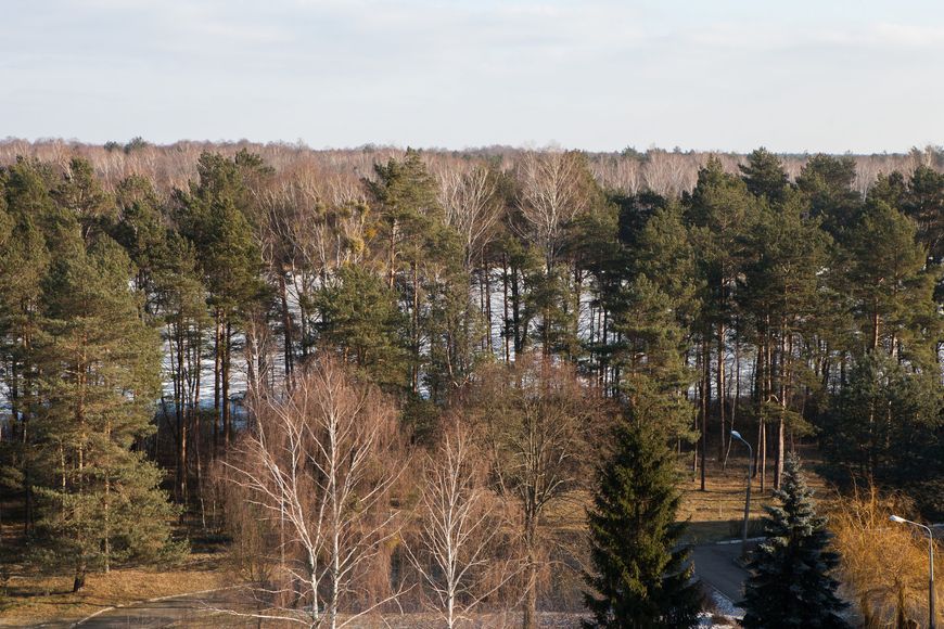 Двухместный номер корп. №2 (улучш. план.)