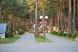 Территория Санатория Энергетик летом - центральная аллея