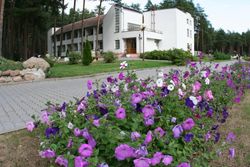 Территория Санатория Энергетик летом - цветы вдоль дорожек