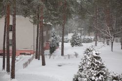 Территория Санатория Энергетик зимой - вид на территорию из окна номера