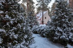 Территория Санатория Энергетик зимой - вид с аллеи на коттедж №1