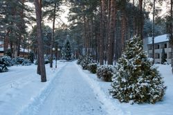 Территория Санатория Энергетик зимой - одна из центральных аллей
