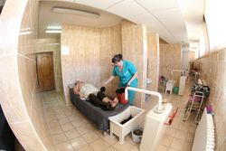 Лечение в Санатории Энергетик - грязевые процедуры