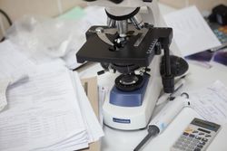 Отдых в Санатории Энергетик - сдача анализов