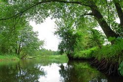 Экскурсия «По берегам Росси и Волковыск»