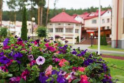 Территория Санатория Ружанский летом - красивая клумба